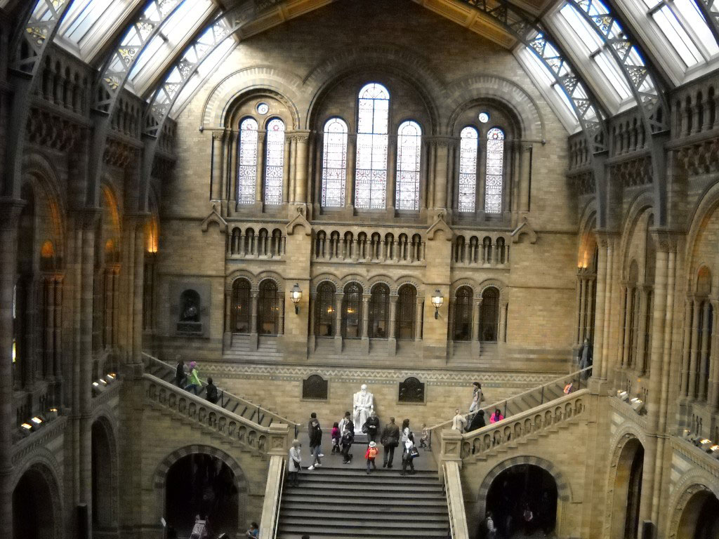 The National History Museum